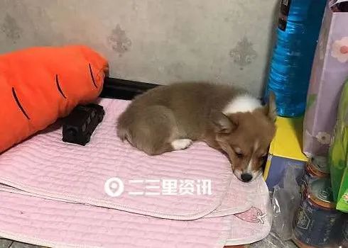 DƬ